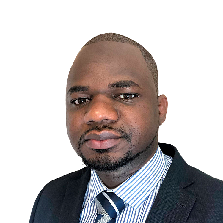 Lamin profile
